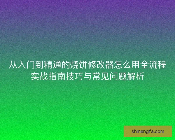 从入门到精通的烧饼修改器怎么用全流程实战指南技巧与常见问题解析